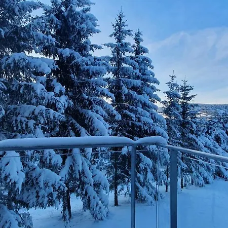 Loučná pod Klínovcem Apartman Nerudovka D 104, Finska Sauna, Garazove Stani מראה חיצוני תמונה