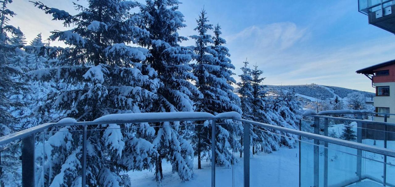 Apartment Nerudovka D 104, Finska Sauna, Garazove Stani Loucna pod Klinovcem